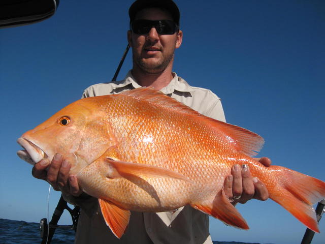 Kalbarri red